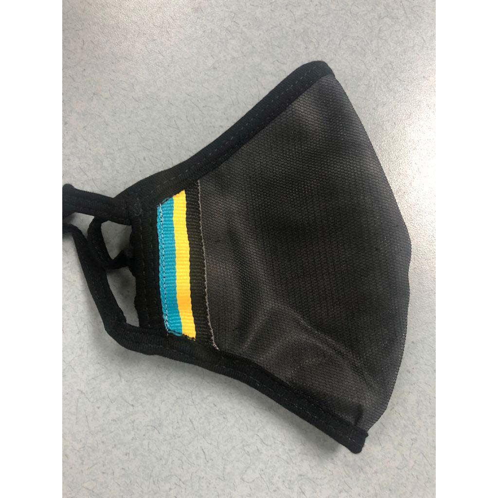 Sanitizers/Disinfection/Masks